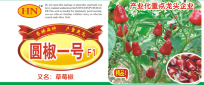 圆椒1号